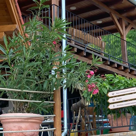 Robirtok Vendeghaz Farm stay Kosd