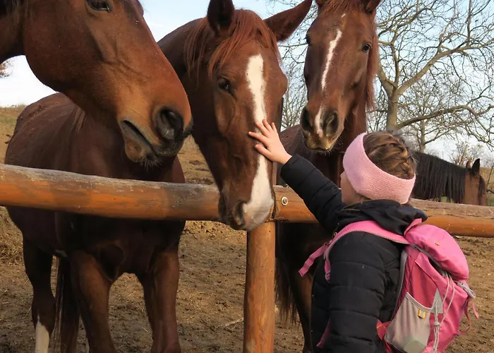 Robirtok Vendeghaz Séjour à la ferme Kosd